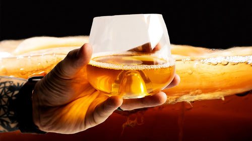 A hand holding a glass of fizzy kombucha in front of a close-up photo of a SCOBY (symbiotic culture of bacteria and yeast).