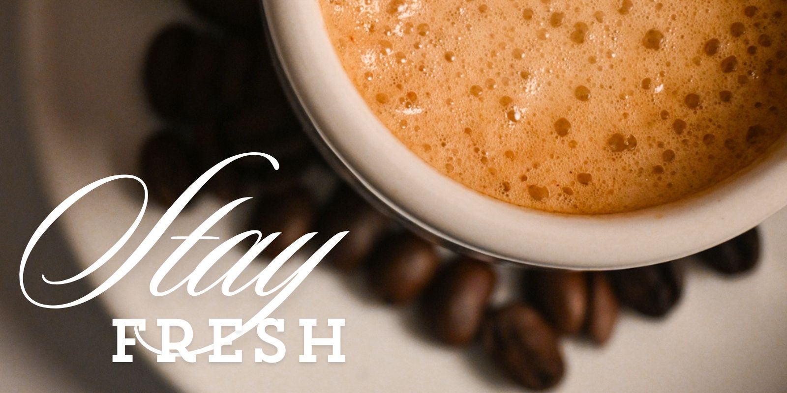 Stay Fresh With Fresh Roasted Coffee LLC