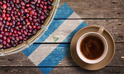 A bowl of coffee cherries and cup of coffee on a wooden surface with the Nicaragua flag on it. 