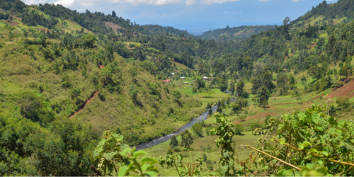 A lush, green valley and stream near Mt. Kenya in Africa