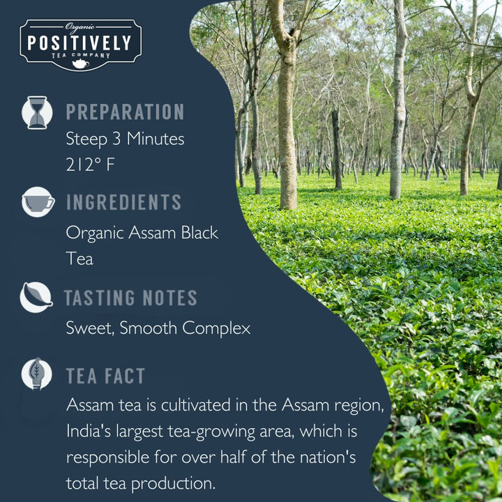 Positively Tea Company Organic Assam Black Tea details including preparation method, tasting notes, and tea origin facts.