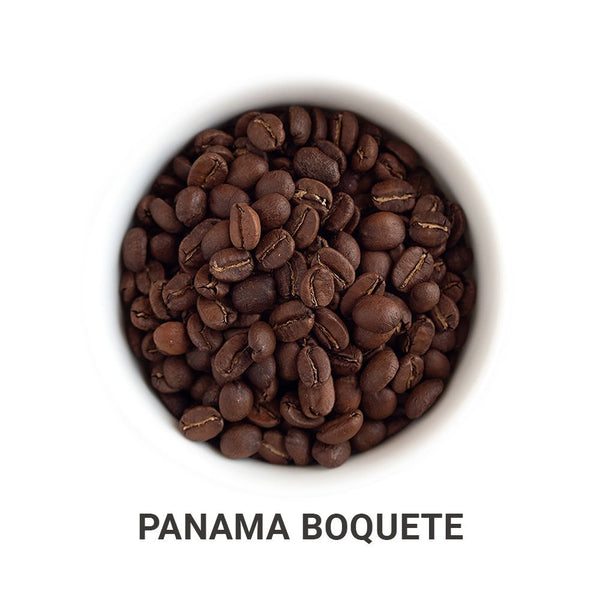 Tour of Central America - Roasted Coffee Bundle