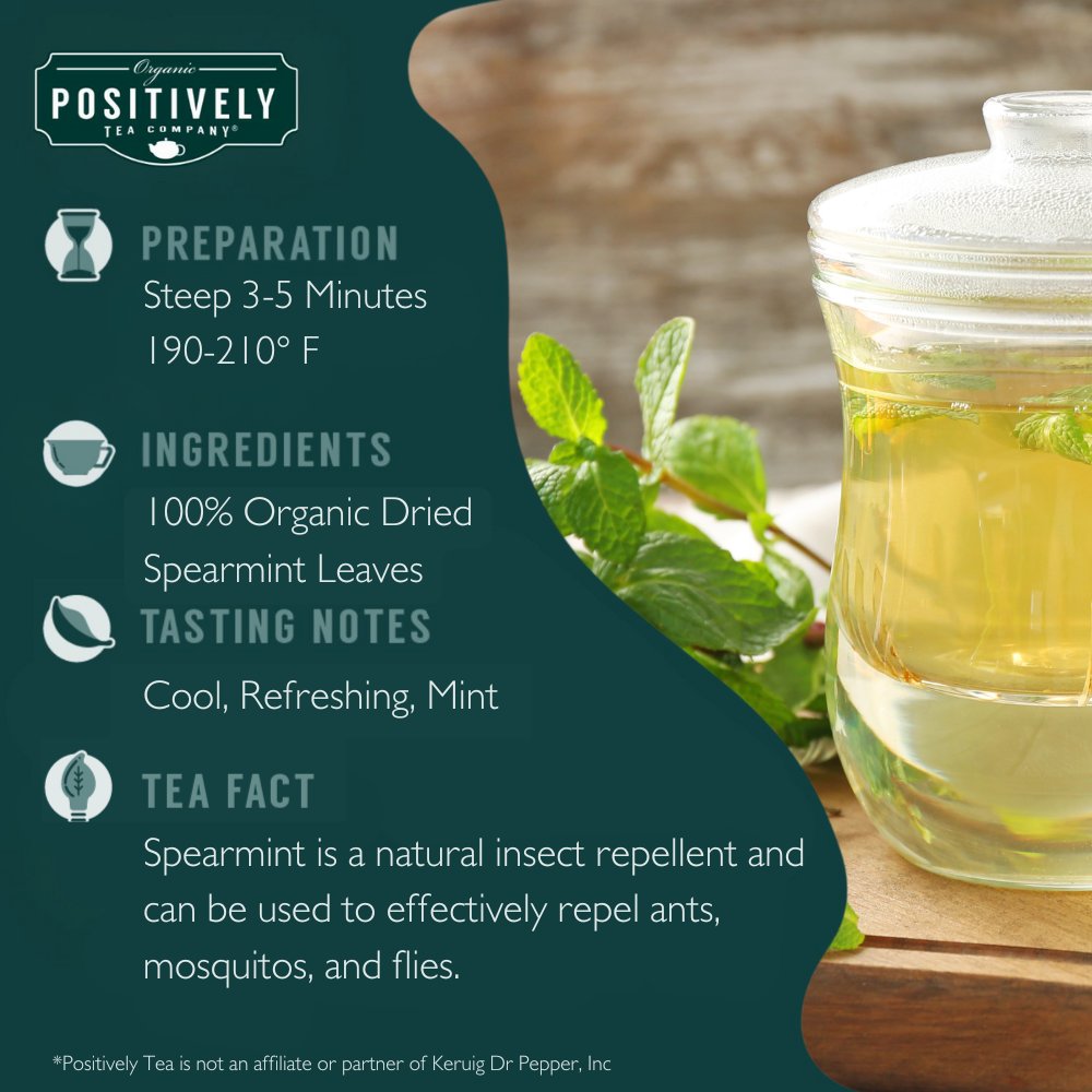 Spearmint Leaf Herbal - Tea Bags