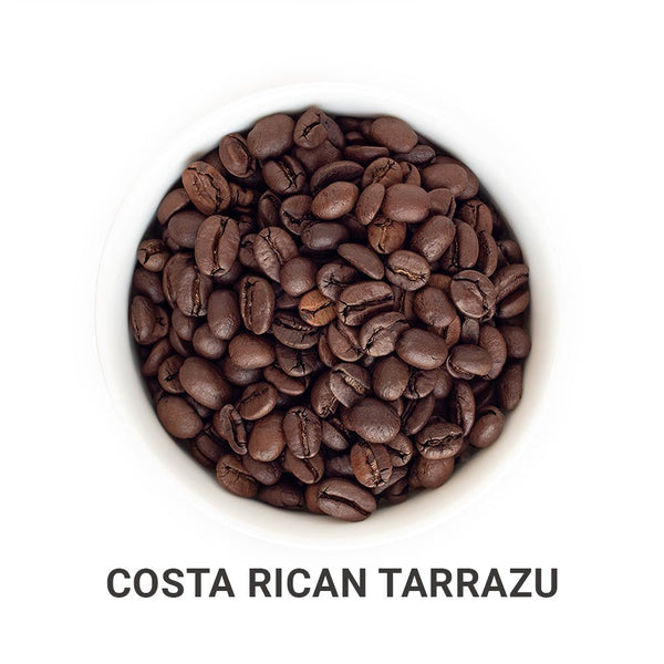 Tour of Central America - Roasted Coffee Bundle