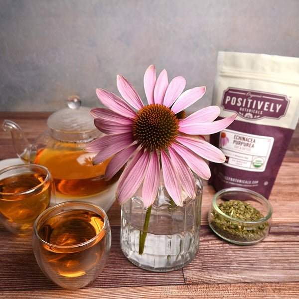 Echinacea Purpurea - Loose Leaf Botanical