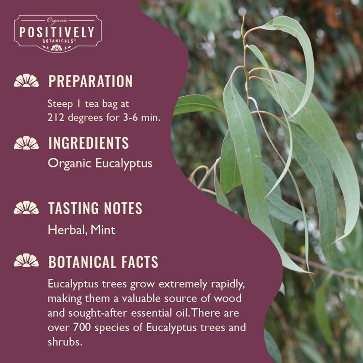 Eucalyptus - Botanical Tea Bags