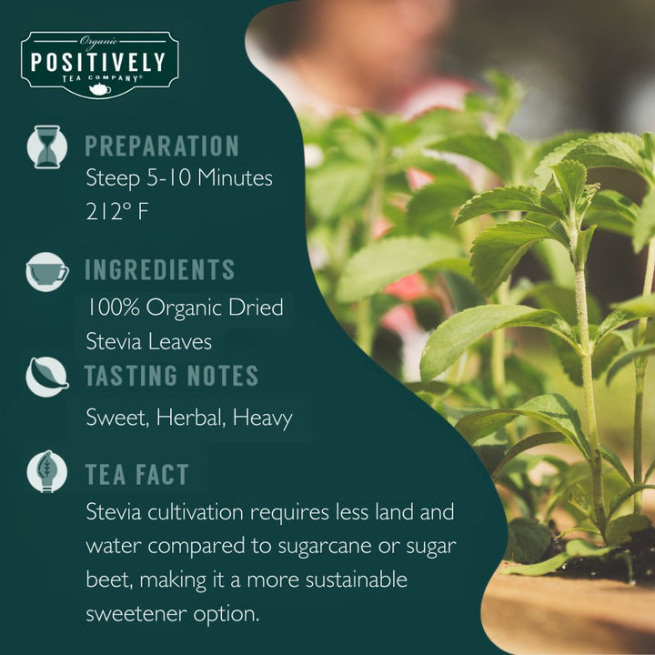 Stevia Leaf Herbal - Loose Leaf Tisane