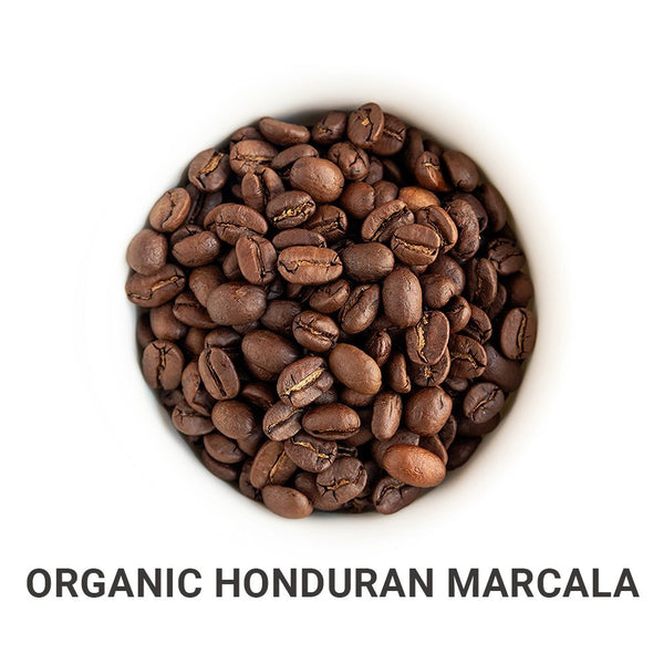 Tour of Central America (Organic) - Roasted Coffee Bundle