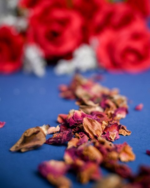Rosebuds and Petals - Loose Leaf Botanical