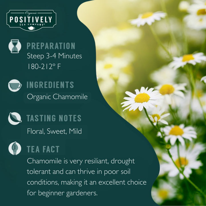 Chamomile - Loose Leaf Tisane